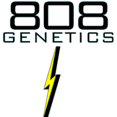 808 Genetics