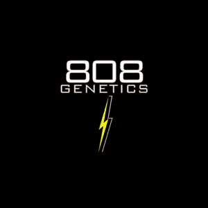 808 Genetics