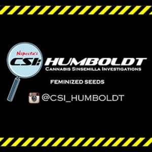 CSI Humboldt