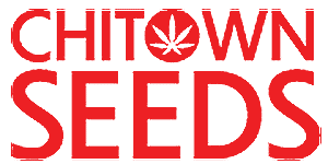 Chitown Seeds thumbnail