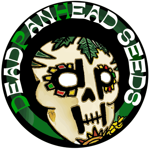Deadpanhead Seeds