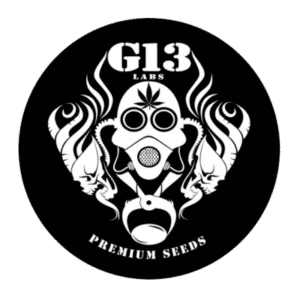 G13 Labs