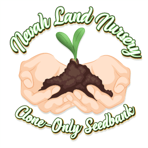 Nevah Land Nursery
