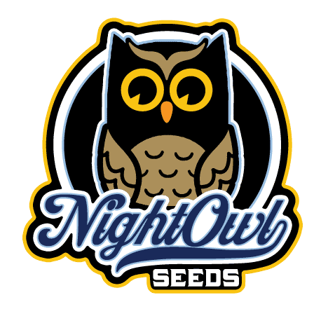 Night Owl Seeds