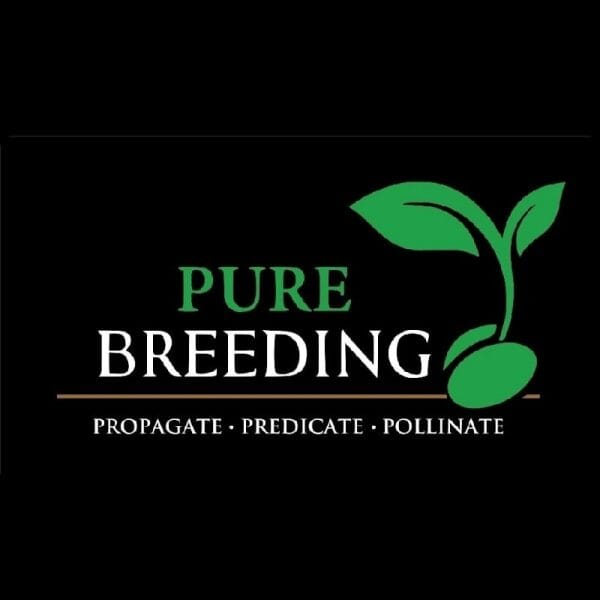Pure Breeding