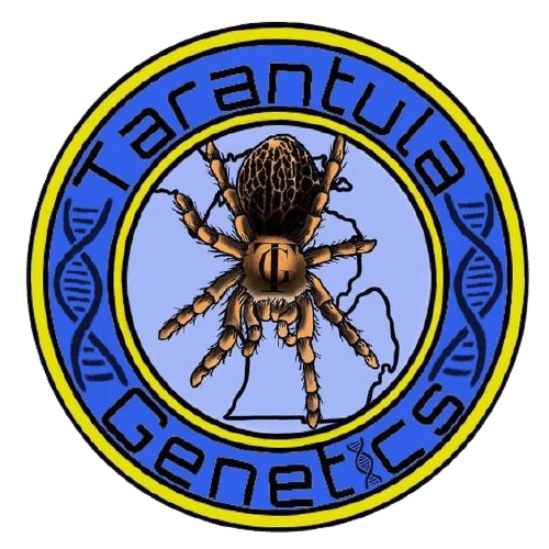 Tarantula Genetics
