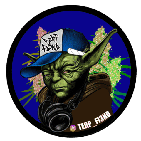 Terp Fi3nd