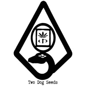 Two Dog Seeds