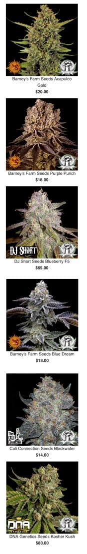 
Barney's Farm Seeds Acapulco Gold-$20.00, Barney's Farm Seeds Blue Dream-$18.00, Barney's Farm Seeds Purple Punch-$18.00, Cali Connection Seeds Blackwater-$14.00, DJ Short Seeds Blueberry F5-$65.00, DNA Genetics Seeds Kosher Kush-$80.00, DNA Genetics Seeds Skywalker Kush-$80.00, Dutch Passion Seeds Blueberry (1970's Original)-$80.00, G13 Labs Seeds Pineapple Express-$12.00, G13 Labs Seeds Pineapple Express #2-$45.00