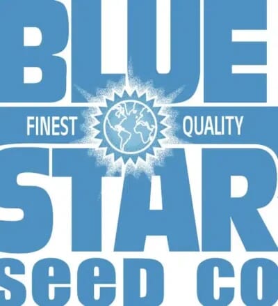 Blue Star
