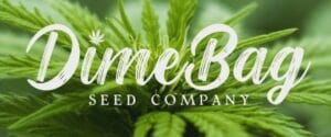 Dimebag Seed Co