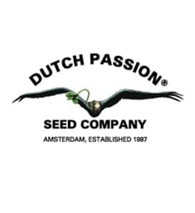 Dutch Passion Seeds