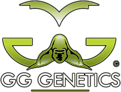 GG Strains