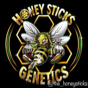 Honey Sticks Genetics