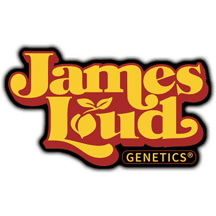 Loud Seeds