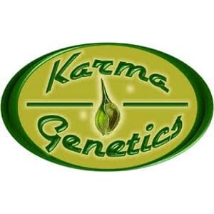 Karma Genetics