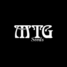 MTG Seeds