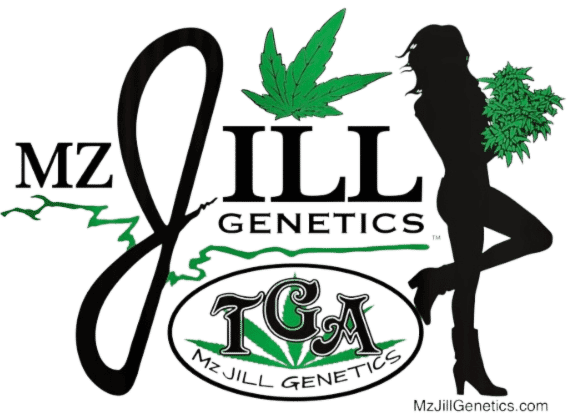 Mz Jill Genetics