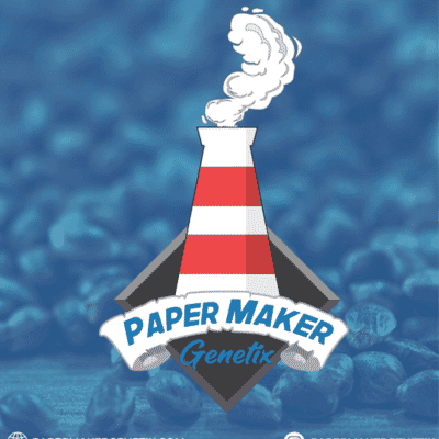 Paper Maker Genetix