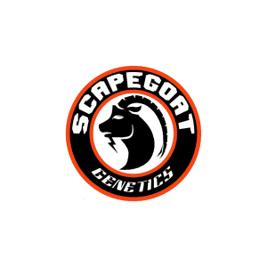 Scapegoat Genetics