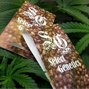Select Genetics