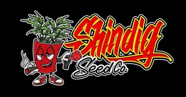 Shindig Seeds