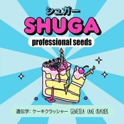 Shuga Professional Seeds