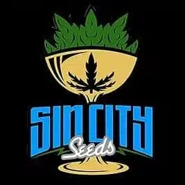 SinCity Seeds